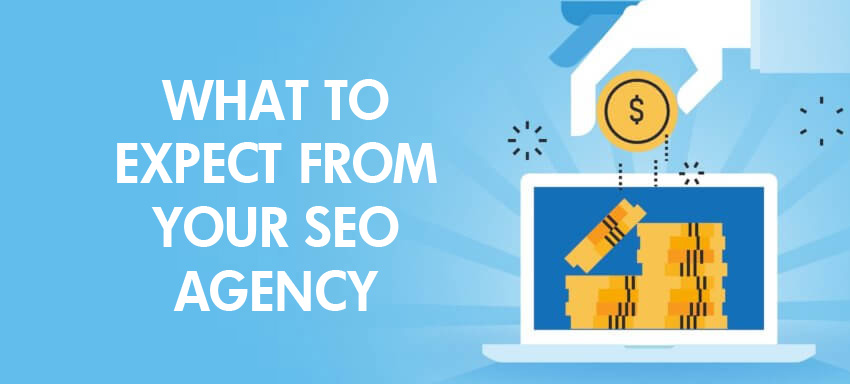 What to expect from your SEO agency?