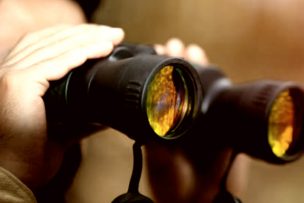 Voice Search and Local Search for your SEO benefit