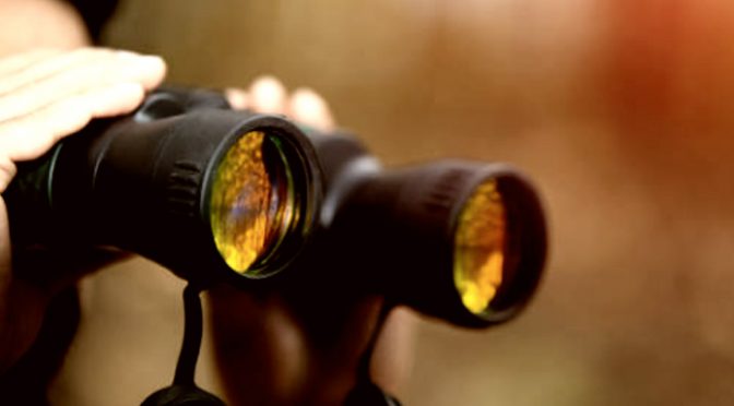 Voice Search and Local Search for your SEO benefit