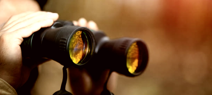 Voice Search and Local Search for your SEO benefit